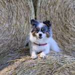 Ersteller:in Linda Profilbild