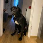 Ersteller:in Mike Profilbild