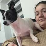 Ersteller:in Petya Profilbild