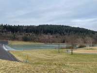 Hundeauslaufgebiet-Haunesee bei Marbach-Bild