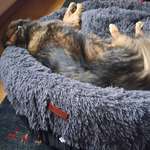 Ersteller:in Antje Profilbild