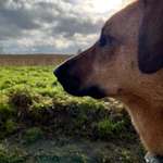 Ersteller:in Aileen Profilbild