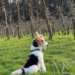 Ersteller:in Christina Profilbild