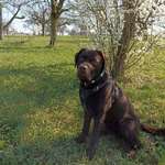 Ersteller:in Moni Profilbild