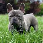 Ersteller:in Denise Profilbild