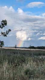 Hundeauslaufgebiet-Söllershöhe-Bild