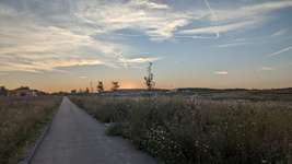 Hundeauslaufgebiet-Söllershöhe-Bild