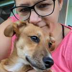 Ersteller:in Annette Profilbild