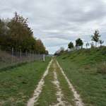 Hundeauslaufgebiet-Neubiberg-Bild