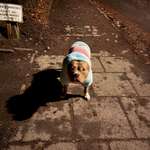 Ersteller:in Jan Profilbild