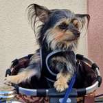 Ersteller:in Anna👩💁‍♀️🙋‍♀️🧏‍♀️ Profilbild