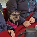 Ersteller:in Anna👩 Profilbild