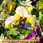 Ersteller:in Anna👩💁‍♀️🙋‍♀️🧏‍♀️ Profilbild