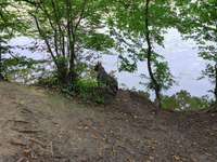 Hundeauslaufgebiet-Trimm Dich Wald-Bild