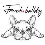 Ersteller:in Janina Profilbild