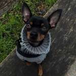 Ersteller:in Mira Profilbild