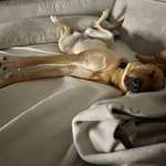 Ersteller:in Cassandra Profilbild