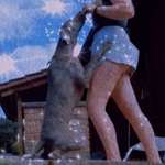 Ersteller:in Jolina Profilbild