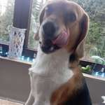 Ersteller:in Ingo Profilbild