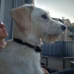 Ersteller:in Pascale Profilbild