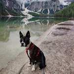 Ersteller:in Y von Profilbild