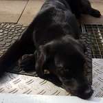 Ersteller:in Kerstin Profilbild