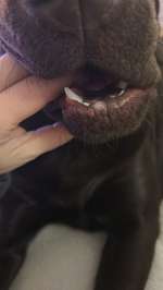 Helle Stelle Lippe-Beitrag-Bild