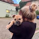 Ersteller:in Elisa Profilbild