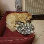 Ersteller:in Doris Profilbild