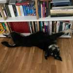 Ersteller:in Mari Profilbild