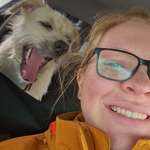 Ersteller:in Franzi Profilbild