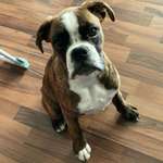 Ersteller:in KimEly Profilbild