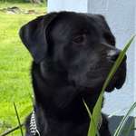 Ersteller:in Bianca Profilbild