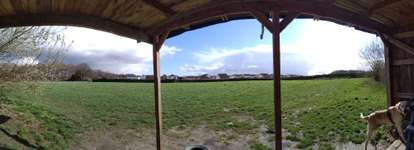 Hundeauslaufgebiet-Tierhotel St. Barbara-Bild