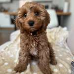 Ersteller:in Inga Profilbild