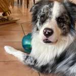 Ersteller:in Peter Profilbild