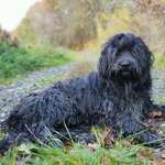 Ersteller:in Daniela Profilbild