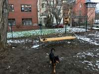 Hundeauslaufgebiet-Augustapromenade-Bild