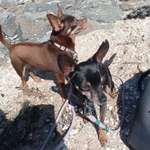 Ersteller:in Stephanie Profilbild