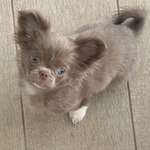 Ersteller:in Sarah Profilbild