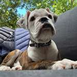 Ersteller:in Lisa Profilbild