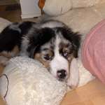 Ersteller:in Jacky Profilbild