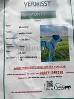 Suchmeldung-Monty-Bild