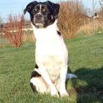 Ersteller:in Sandra Profilbild