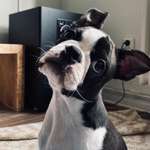 Ersteller:in Lena Profilbild