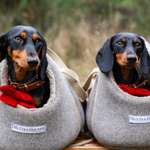 Ersteller:in Estella Profilbild