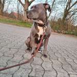 Ersteller:in Tatjana Profilbild