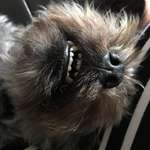 Ersteller:in Vera Profilbild