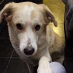 Ersteller:in Petra Profilbild