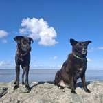 Ersteller:in Tanja Profilbild